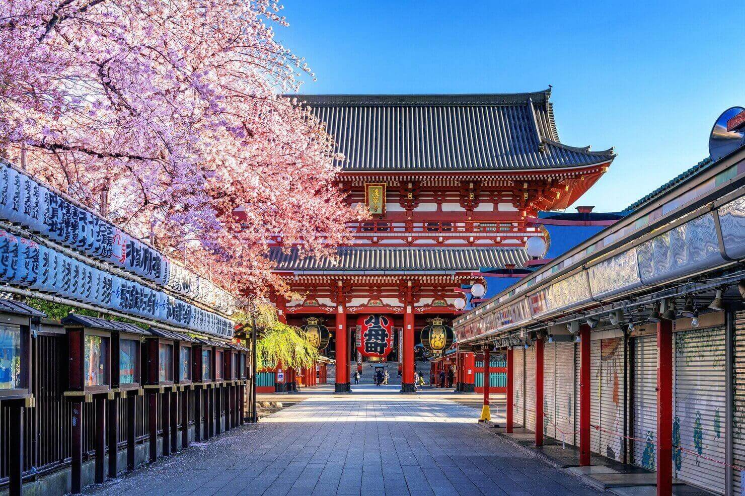 Kyoto Tour