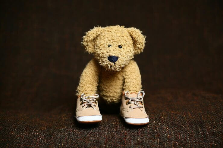 Teddy Bear Toy